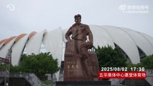 【比赛日Vlog】中超联赛第19轮：梅州客家2比4上海海港图片